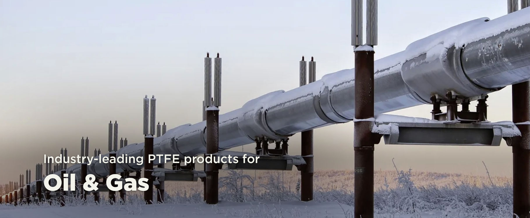 Industry-leading PTFE products for Oil and Gas